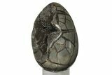 7.9" Septarian "Dragon Egg" Geode - Black Crystals - #202557-2